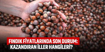 fındık-fiyatlarında-son-durum