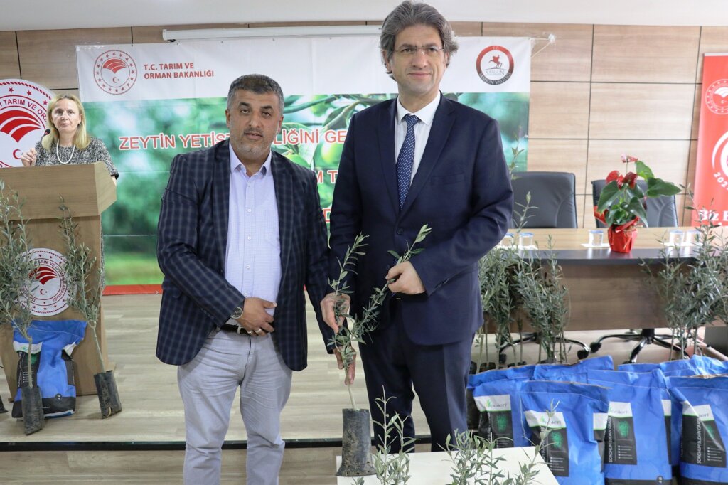 Samsun'da çiftçiye can suyu: sorgum sudan otu tohumları dağıtıldı samsun manşet haberleri Samsun manşet - samsun haberleri
