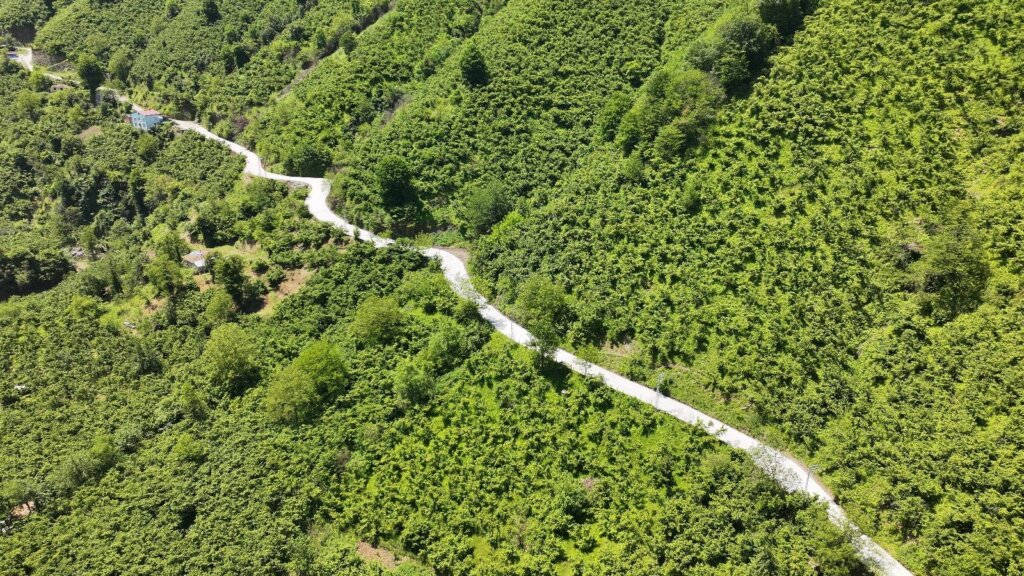 Terme’de beton yol çalışması samsun manşet haberleri Samsun manşet - samsun haberleri