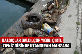 denizin-dibinde-utandıran-manzara