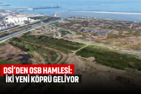 dsiden-osb-hamlesi-