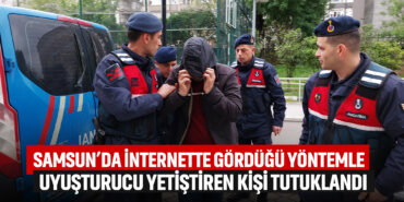 samsunda-internetten-gördüğü-yöntemle-uyuşturucu-yetiştiren-şahıs-utuklandı