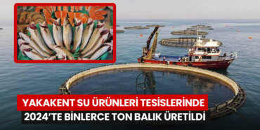 samsunda-2024-yilinda-7-bin-350-ton-alabalik-ve-turk-somonu-bin-770-ton-da-levrek-uretimi-yapildi