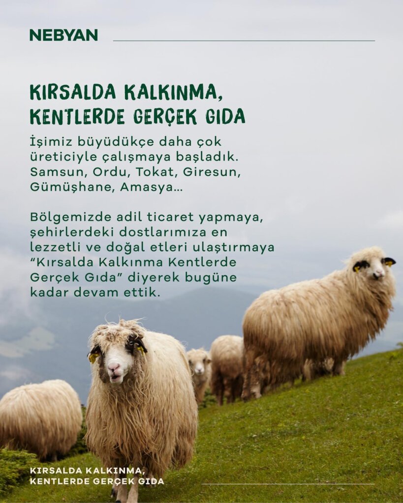 Samsun manşet - samsun haberleri