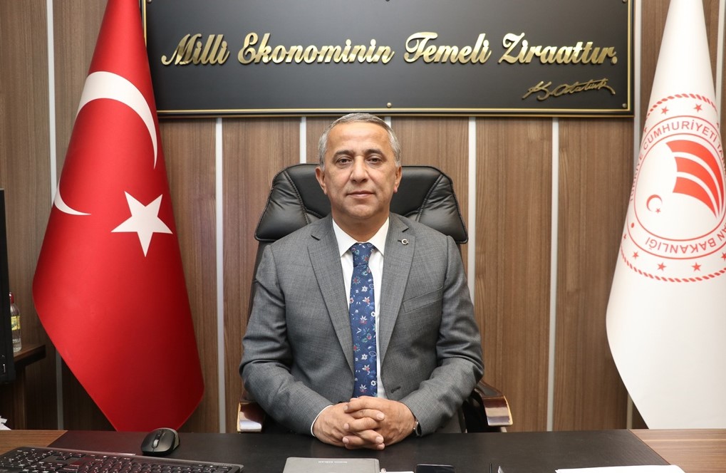 Kahverengi kokarcada mücadele zamanı samsun manşet haberleri Samsun manşet - samsun haberleri