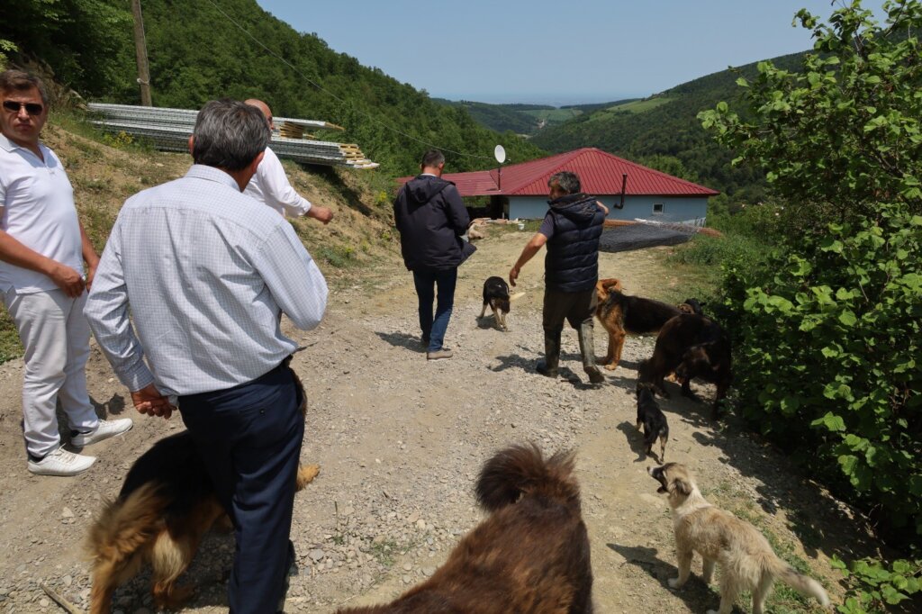 15 mahalleden ortak tepki: "bu barınak halk sağlığını tehdit ediyor" samsun manşet haberleri Samsun manşet - samsun haberleri
