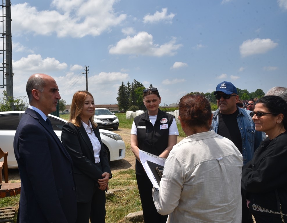 Samsun'da tübi̇tak destekli projeyle sürdürülebilir hayvancılık samsun manşet haberleri Samsun manşet - samsun haberleri