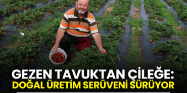 gezen-tavuktan-cilege-dogal-uretim-seruveni-suruyor