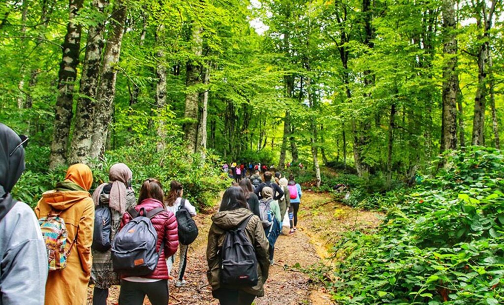 Samsun'un doğal güzellikleri: saklı cennetler samsun manşet haberleri Samsun manşet - samsun haberleri