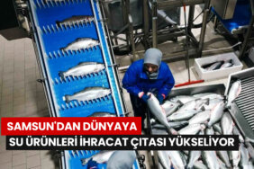 samsun-su-urunleri-ihracatinda-citayi-yukseltiyor
