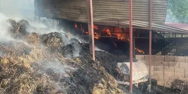 yanginda-5-inek-telef-oldu