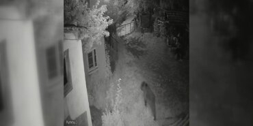 konutun-bahcesine-giren-ayi-kamerada-iByDTmG7.jpg