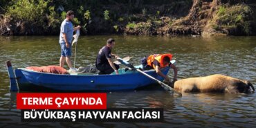 irmaga-dusen-buyukbas-hayvan-telef-oldu