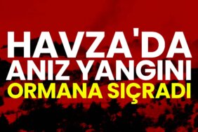 havzada-aniz-yangini-ormana-sicradi