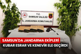 samsunda-jandarma-ekipleri-kubar-esrar-ve-kenevir-ele-gecirdi