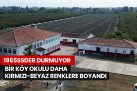 1965ssder-koy-okulu