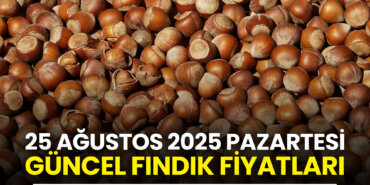 25-Ağustos-2025-Pazartesi-Güncel-Fındık-Fiyatları