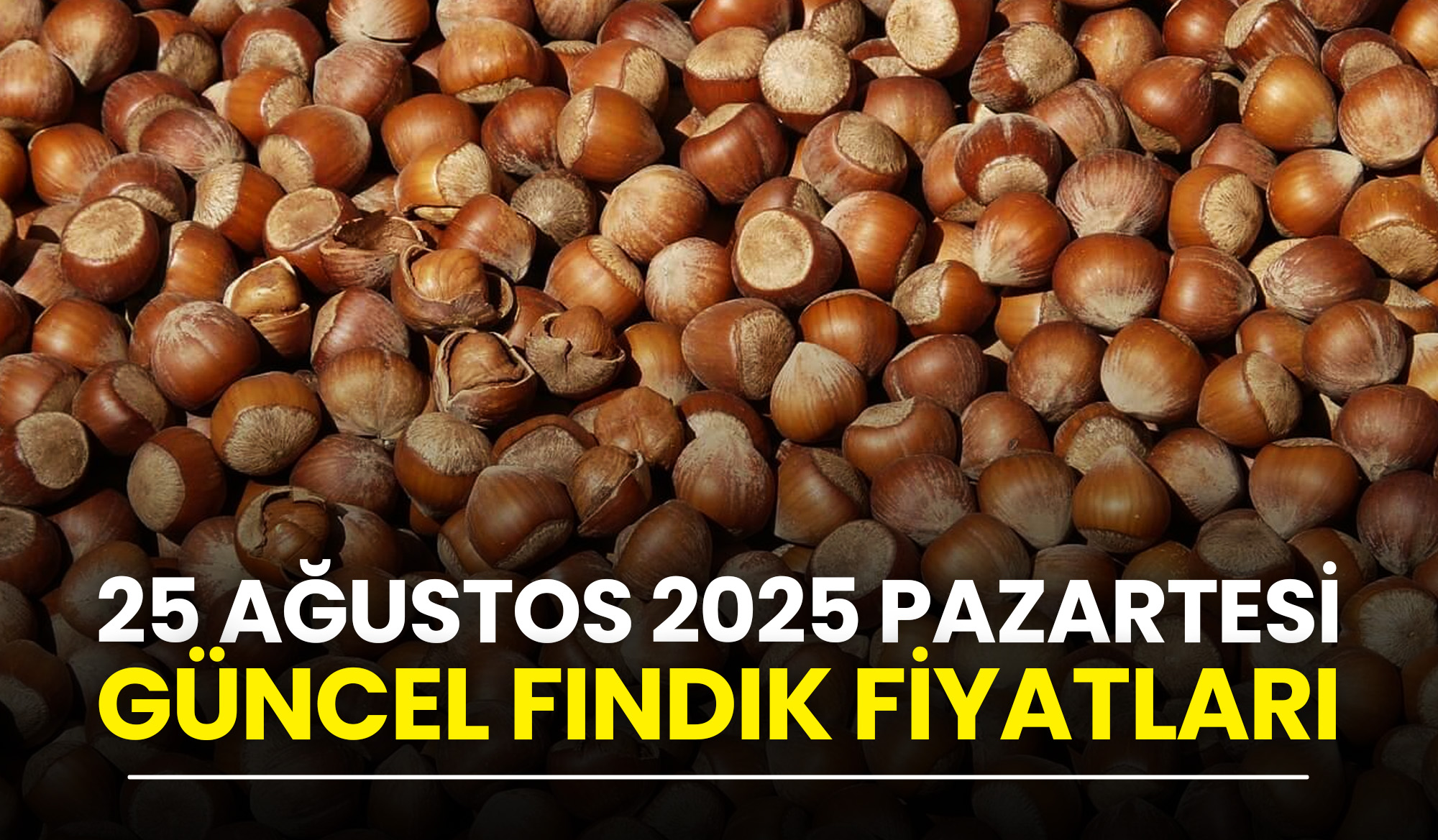25-Ağustos-2025-Pazartesi-Güncel-Fındık-Fiyatları