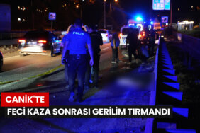 canikte-feci-kaza-sonrasi-gerilim-tirmandi