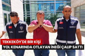 Tekkeköy'de-Bir-Kişi Yol-Kenarında-Otlayan-İneği-Çalıp-Sattı