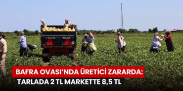 bafra-ovasinda-uretici-zararda-tarlada-2-tl-markette-85-tl