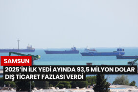 samsun-2025in-ilk-yedi-ayinda-935-milyon-dolar-dis-ticaret-fazlasi-verdi