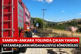 samsun-ankara-yolunda-cikan-yangin-vatandaslarin-mudahalesiyle-sonduruldu
