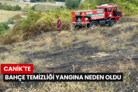 canikte-bahce-temizligi-yangina-neden-oldu-