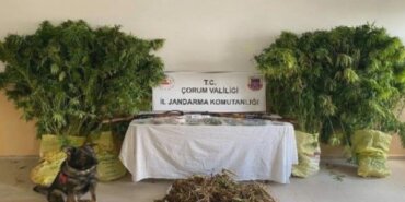 corumda-uyusturucu-operasyonu-DyOhR3XN.jpg