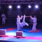 Turkiye-Kyokushin-Stil-Karate-Sampiyonasinin-seremonisi-yapildi-935cb2078c939da9258d4e1a273155c9