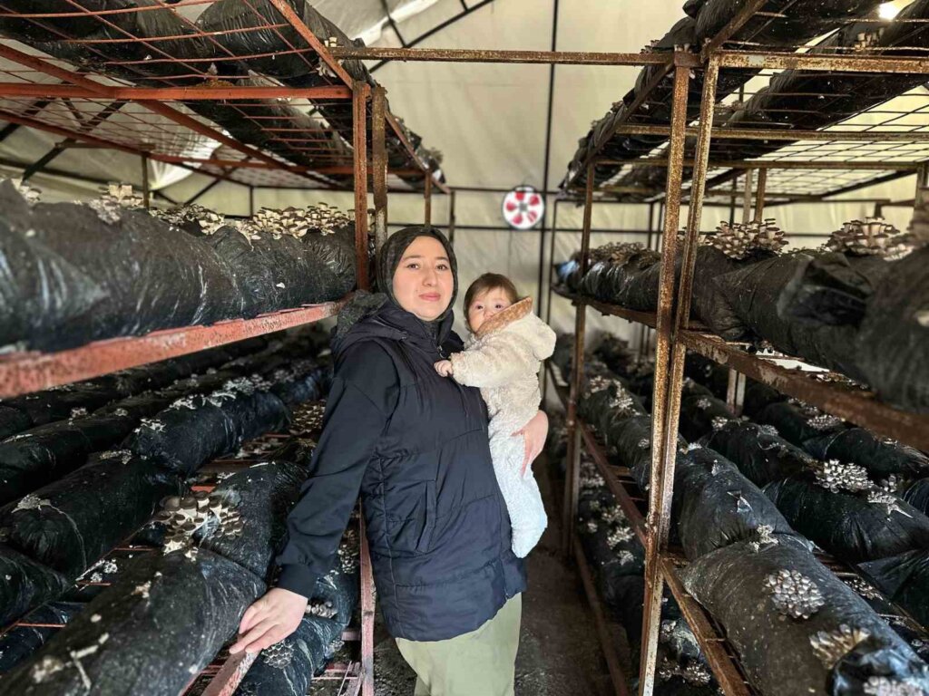 Azim ve başarı: mantar üreticisi kadın çiftçi samsun'da örnek oldu samsun manşet haberleri Samsun manşet - samsun haberleri