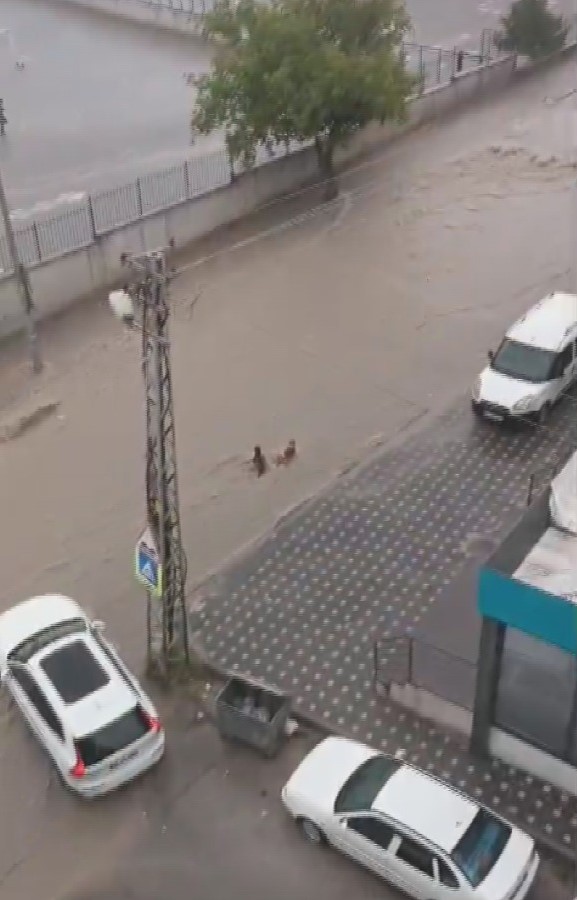 Samsun Manşet - Samsun Haberleri