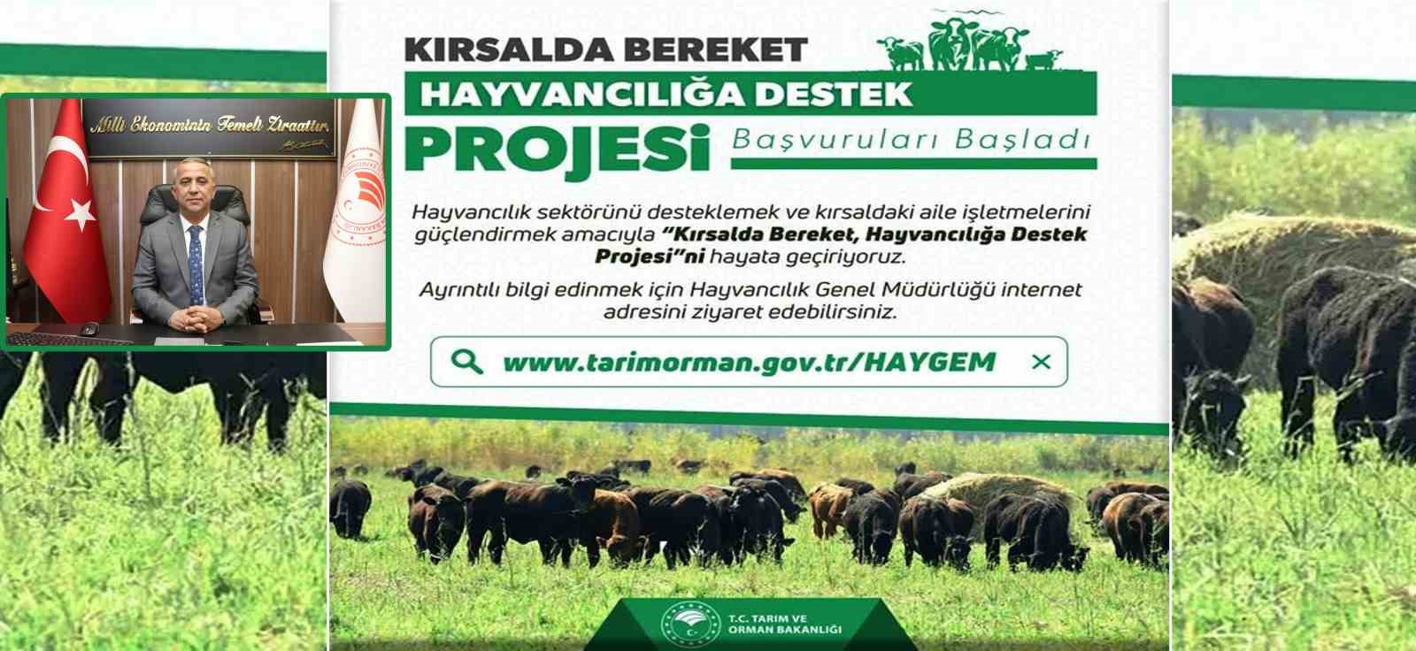 Kirsalda-Bereket-Hayvanciliga-Destek-Proje-basvurulari-basladi-5da55baa06f0b3317b28570aa523c1a2