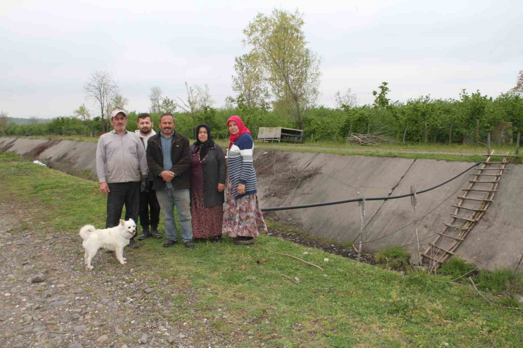 Çarşamba'da kanal mağduriyeti: vatandaş köprü bekliyor samsun manşet haberleri Samsun manşet - samsun haberleri